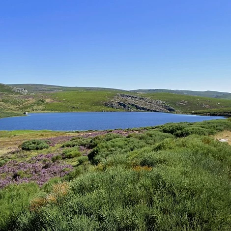Laguna de los Peces en San Martín de Castañeda