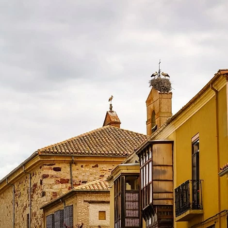 Ruta recomendada para visitar el románico en Zamora