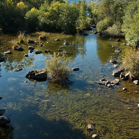 Río Tera en Galende