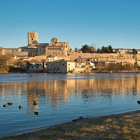 Zamora capital as a starting point