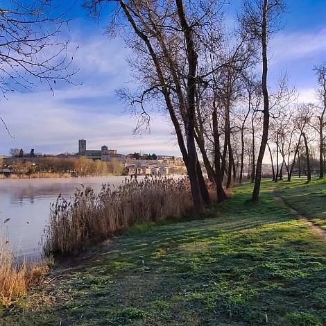 Ribera del Río Duero al atardecer Ribera del Río Duero al atardecer