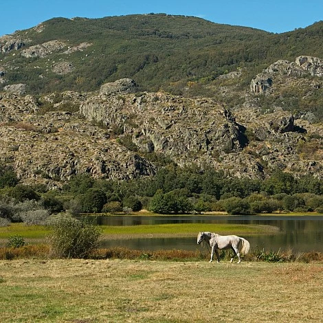 Vistas desde Galende