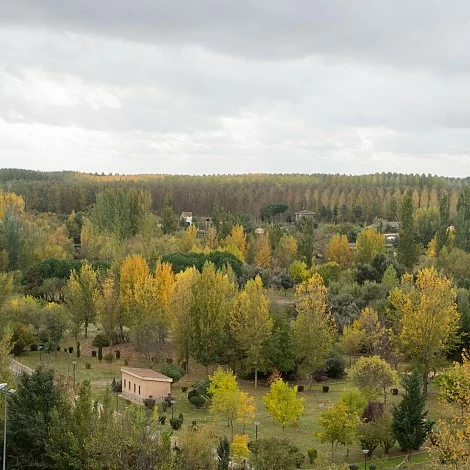 Views of Benavente Views of Benavente