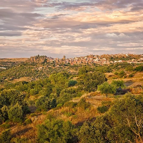 Vista panorámica de Fermoselle