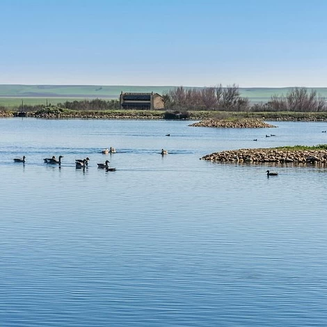Villafáfila Lagoons