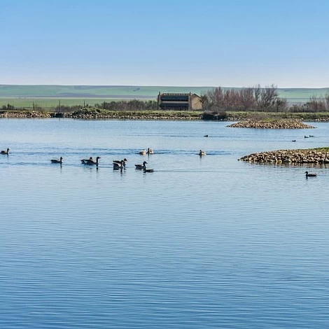 Lagunas de Villafáfila Lagunas de Villafáfila